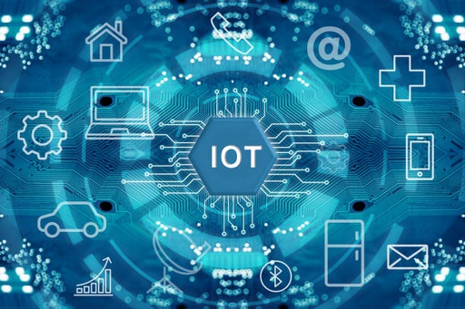 IT Support and IoT Basics (29441)