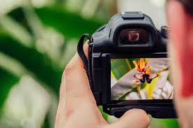Basic Photography (29632)