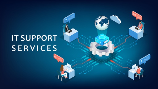 IT Support Services for 3rd CST (28533)